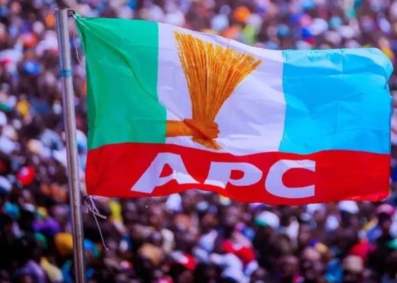 Confusion As ‘New’ APC National Chairman Emerges