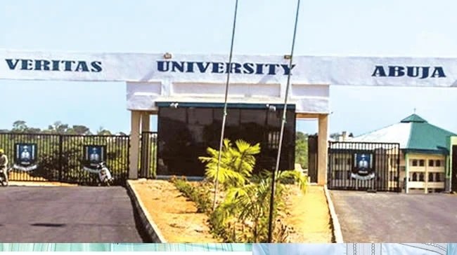 Catholic Bishops Name New Visitor, Council Chairman For Veritas Varsity